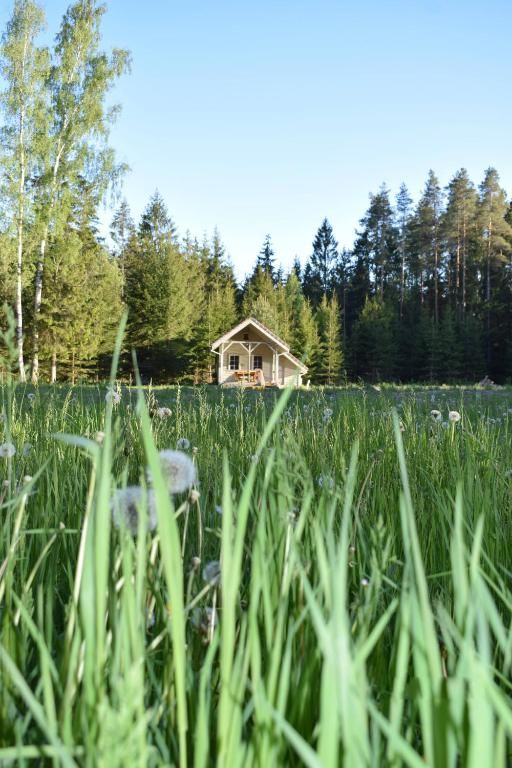 Дома для отпуска Sauna-house 